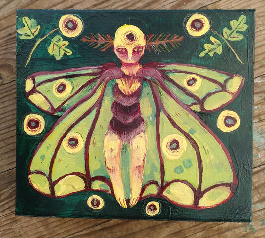 moth fairy box